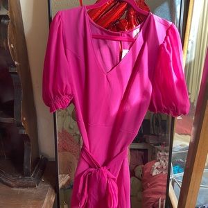 Hot Pink Forever 21 Puff Sleeve Dress